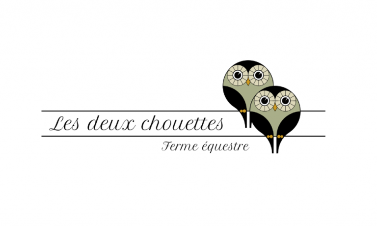 Logo les Deux Chouettes